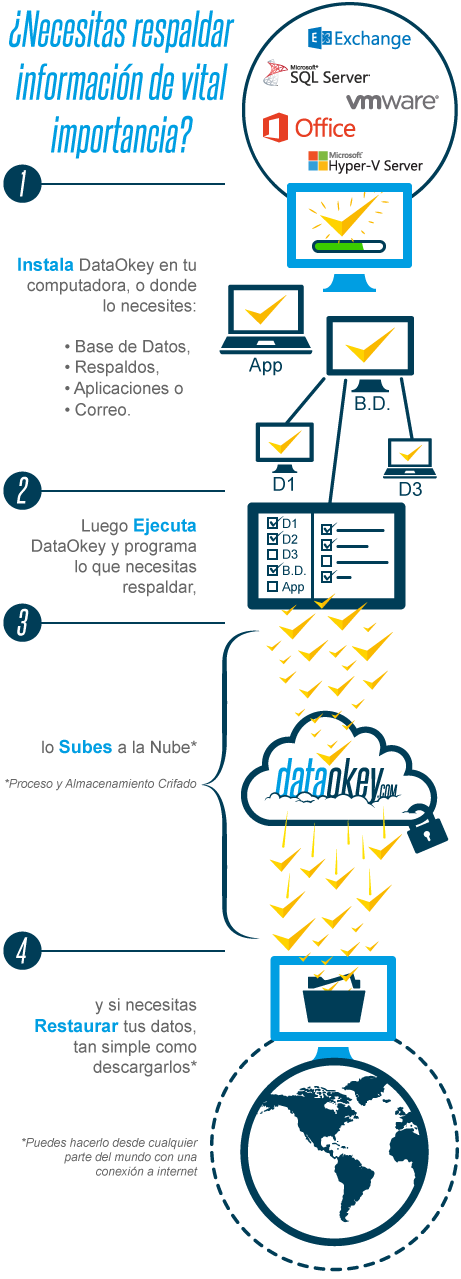 Infografia-Como-Funciona-DataOkey